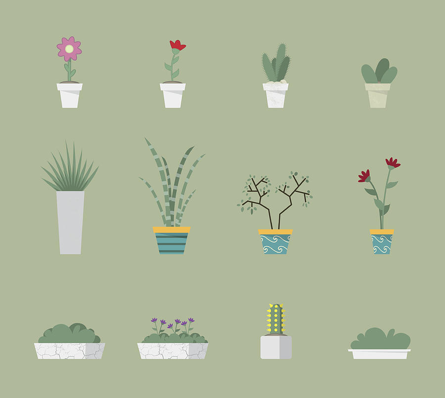 Plants Collection Drawing by Bobboz