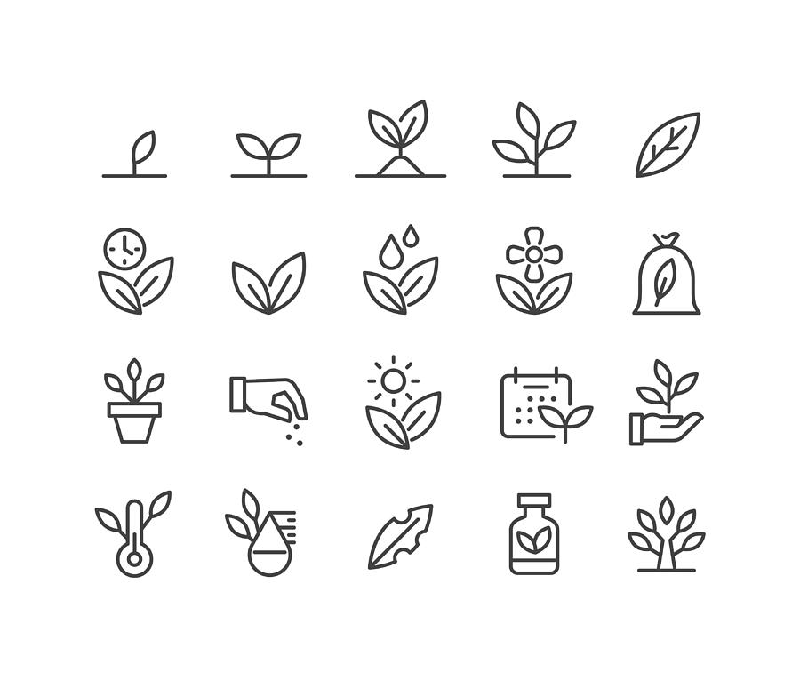 Plants Icons - Classic Line Series Drawing by -victor-