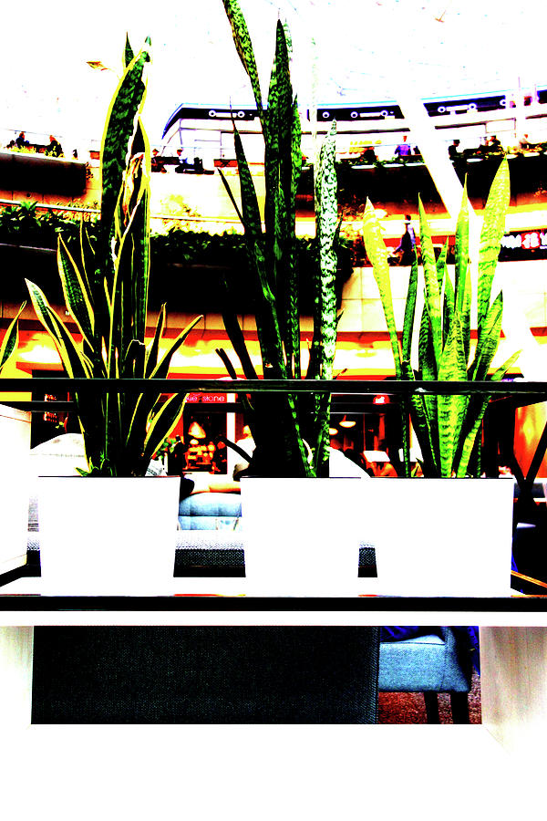 Plants In Mall In Warsaw, Poland Photograph by John Siest