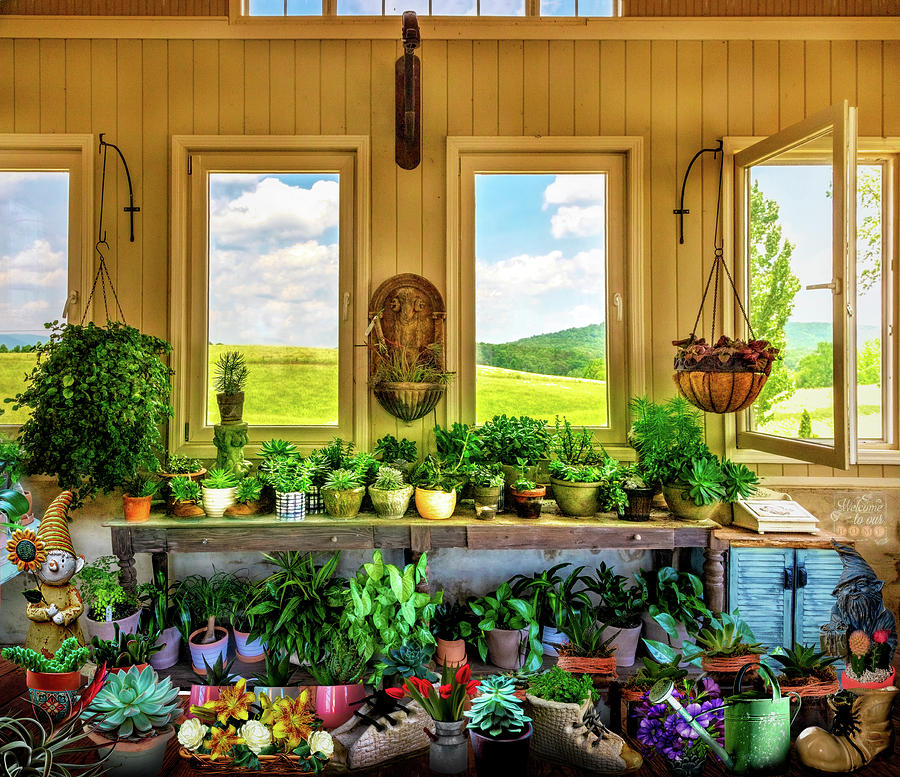 Plants in the Vineyard Greenhouse Window Photograph by Debra and Dave Vanderlaan