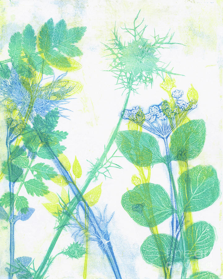 Plants Monoprint Mixed Media by Kristine Anderson