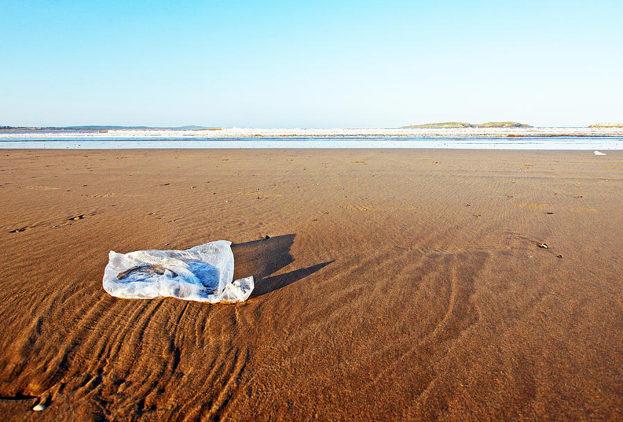 Plastic bag on beach Photograph by Rosmarie Wirz