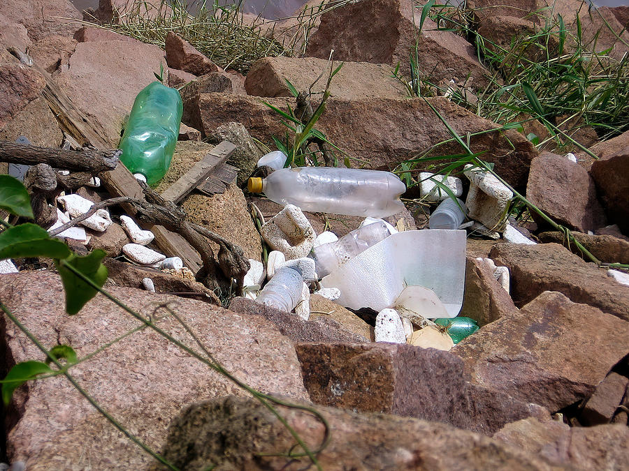 Plastic bottle pollution Photograph by Joao Paulo Burini