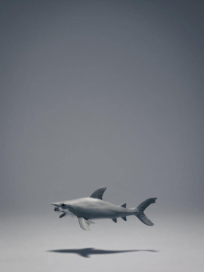 Plastic Toy Shark Floating in the Air. Photograph by Ballyscanlon