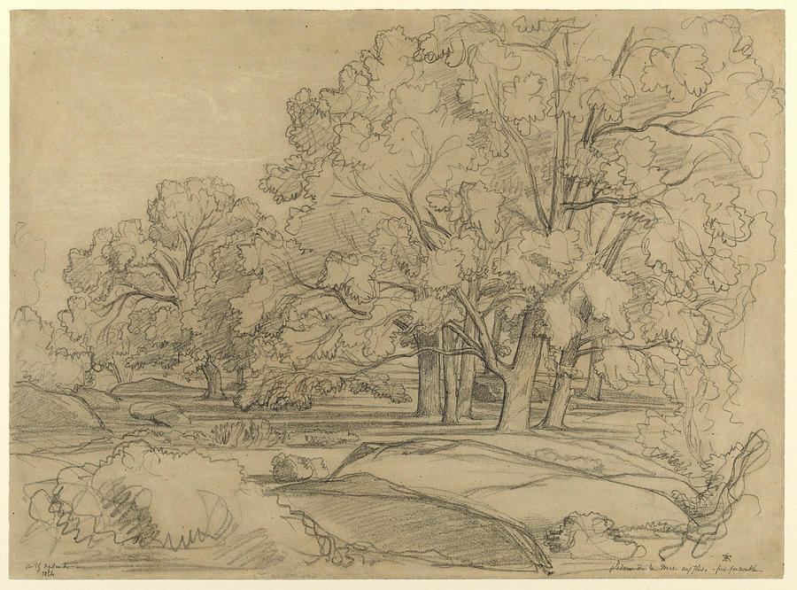 Plateau de la Mare aux Fees. Forest of Fontainebleau Drawing by ...