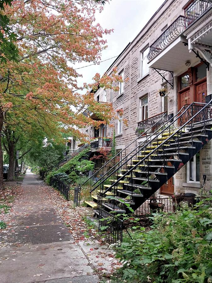 Plateau Mont Royal Photograph by Emy J - Fine Art America