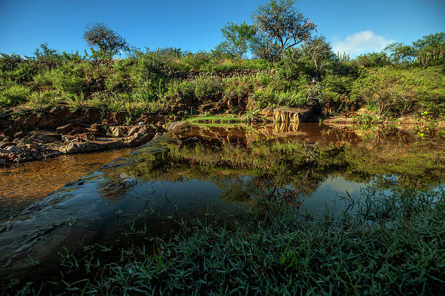 Tableros2 Photograph by Jennifer D'H - Fine Art America