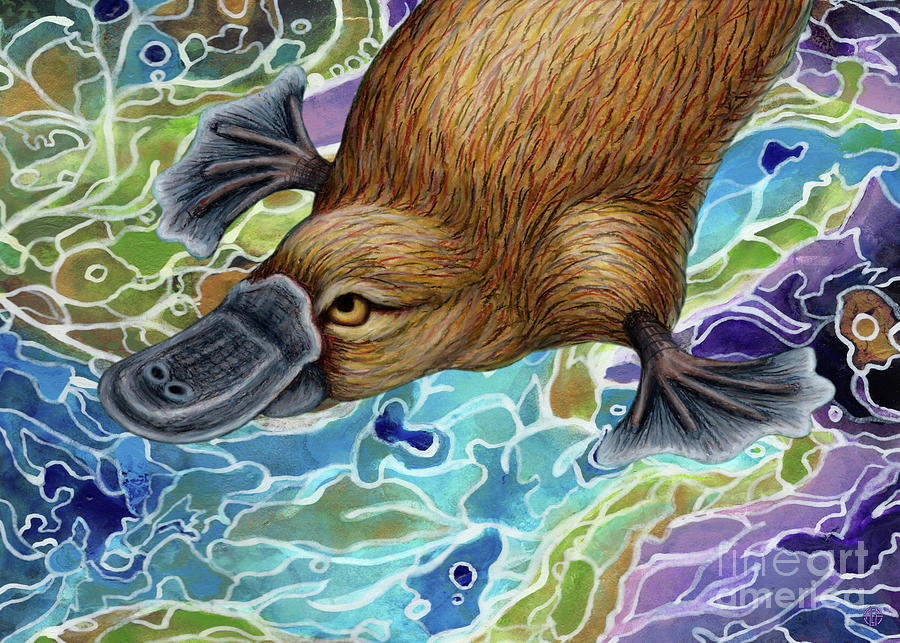Platypus Abstract Painting by Amy E Fraser