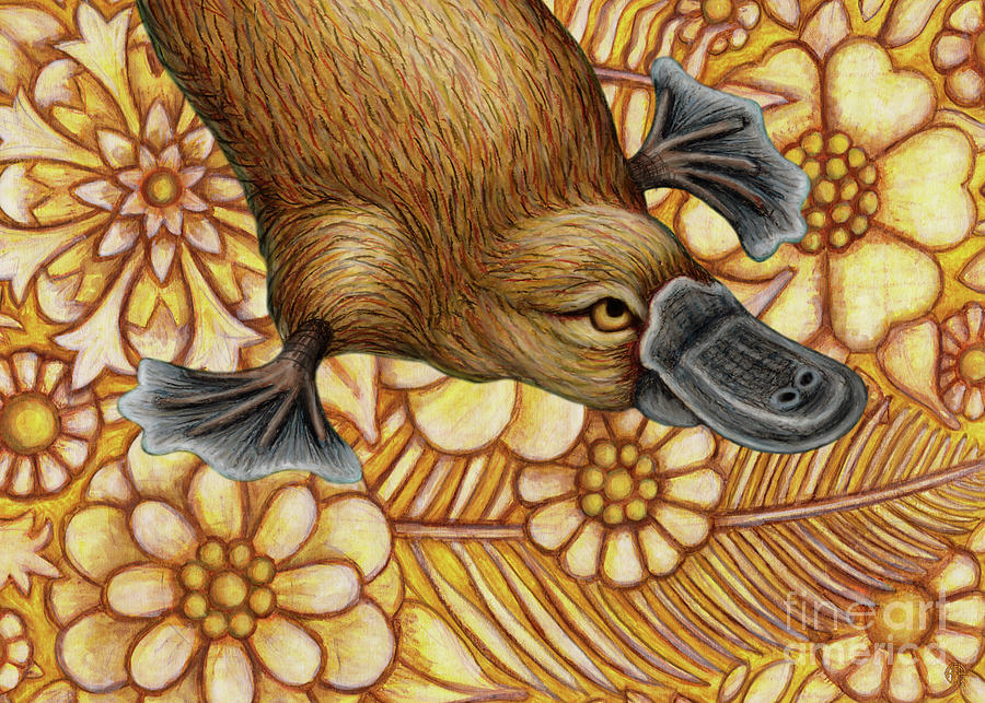 Platypus Floral Painting by Amy E Fraser