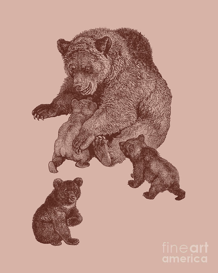 Wildlife Digital Art - Playful Bear Family by Madame Memento