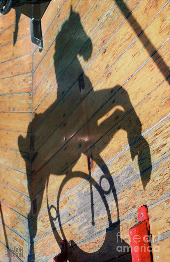 merry-go-round ponies - Shadow Pony Photograph by Sharon Hudson