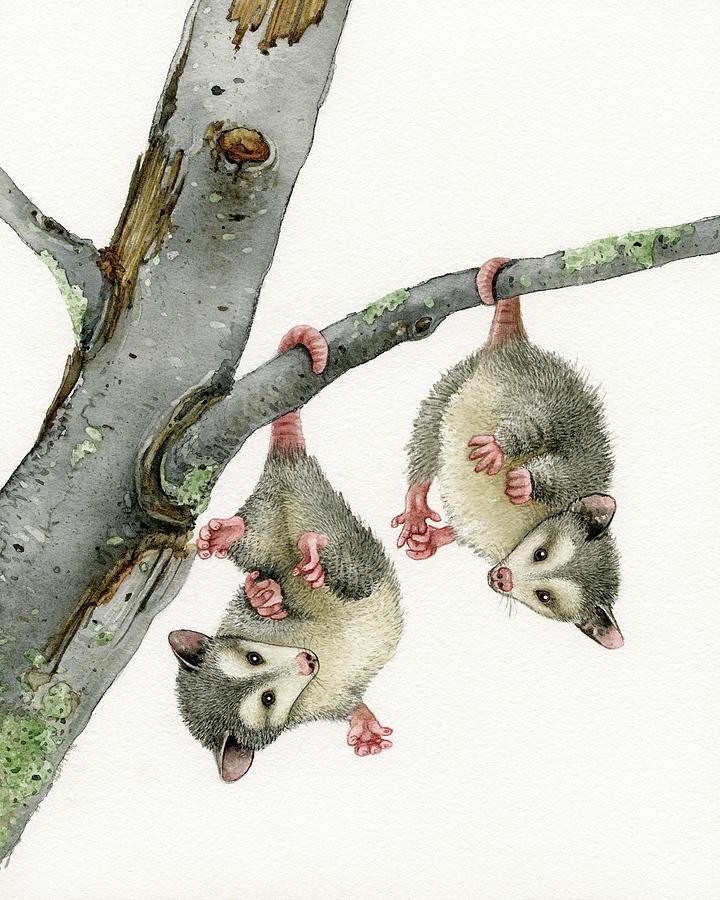 Playful Possums Painting By Tracy Lizotte Fine Art America