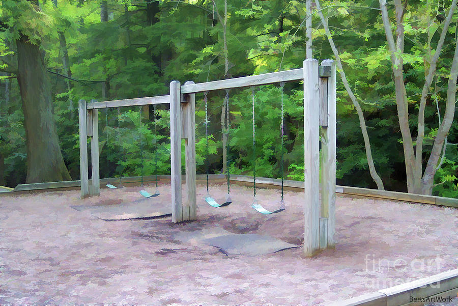 Playground in the Forest Photograph by Roberta Byram