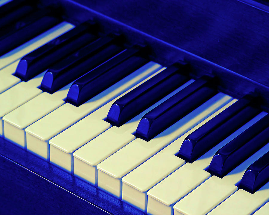 Playing the Blues on Piano Photograph by Bill Swartwout