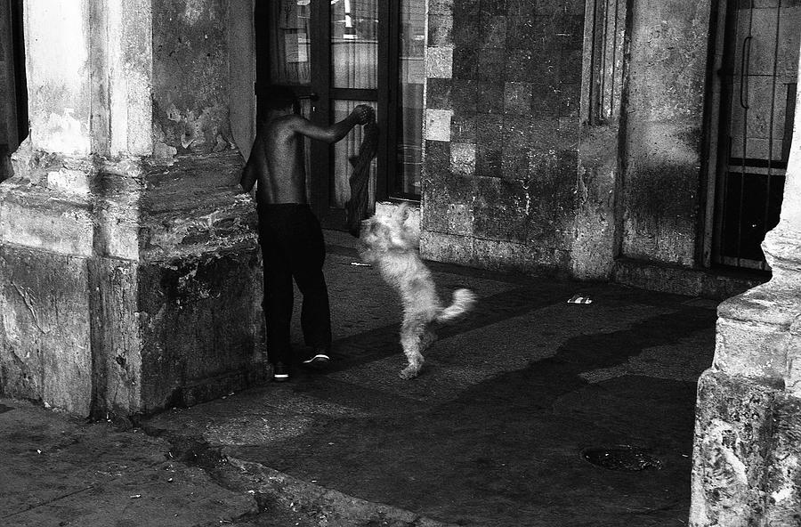 Playing with a dog in Havana Photograph by RicardMN Photography