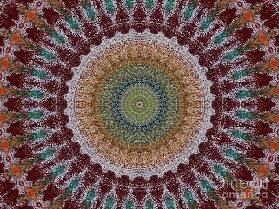 Playtime Mandala Digital Art by Felipe Adan Lerma
