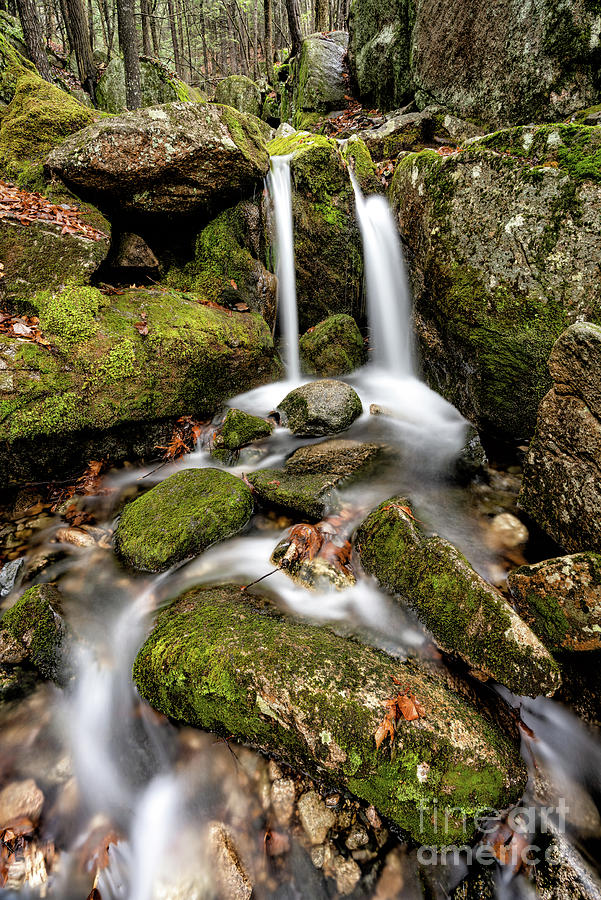 Pleasant Mountain Waterfall Photograph by Craig Shaknis