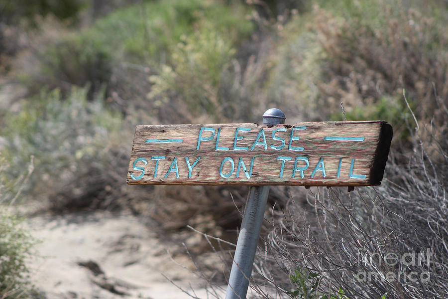 Please Stay On The Trail Coachella Valley Wildlife Preserve Photograph by Colleen Cornelius