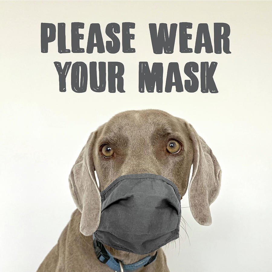 Please Wear Your Mask Mixed Media by Nancy Ingersoll