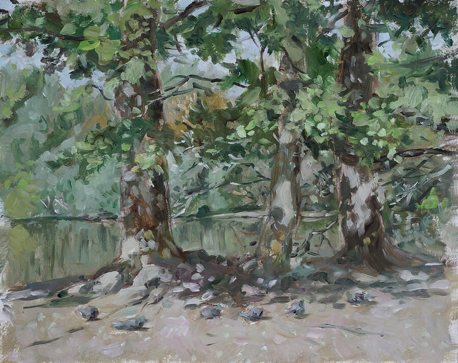 Plein air painting 163 duck pond southampton common Painting by Martin Davey Plein air painting 163 duck pond southampton common Painting by Martin Davey