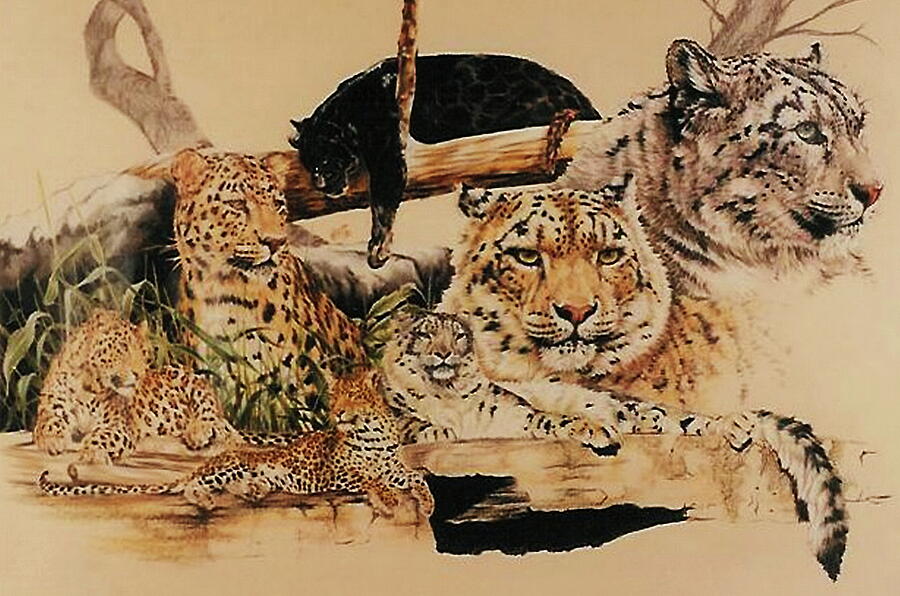 Plethora of Leopards Drawing by Barbara Keith