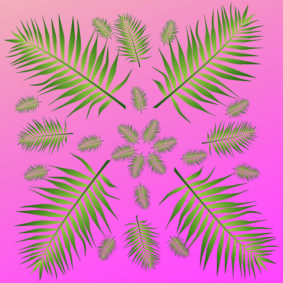 Plethora of Palm Leaves 15 on a Pink Gradient Digital Art by Ali Baucom