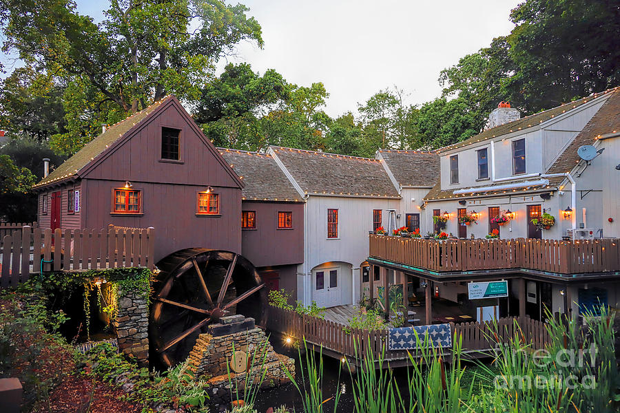 Plimoth Grist Mill at dawn  Photograph by Janice Drew