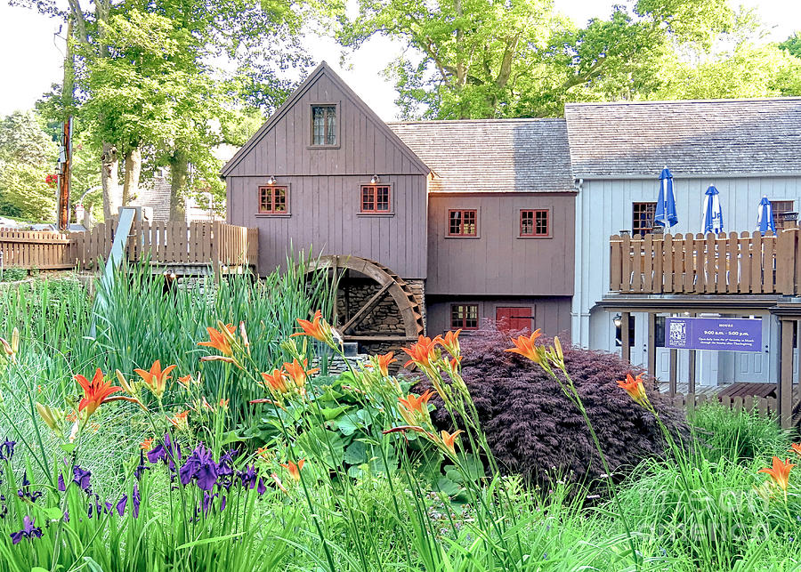 Plimoth Grist Mill in summer Photograph by Janice Drew