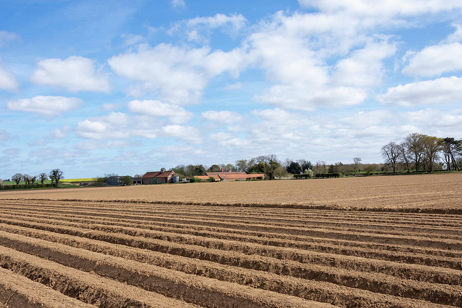 Ploughed fields Photograph by Steev Stamford