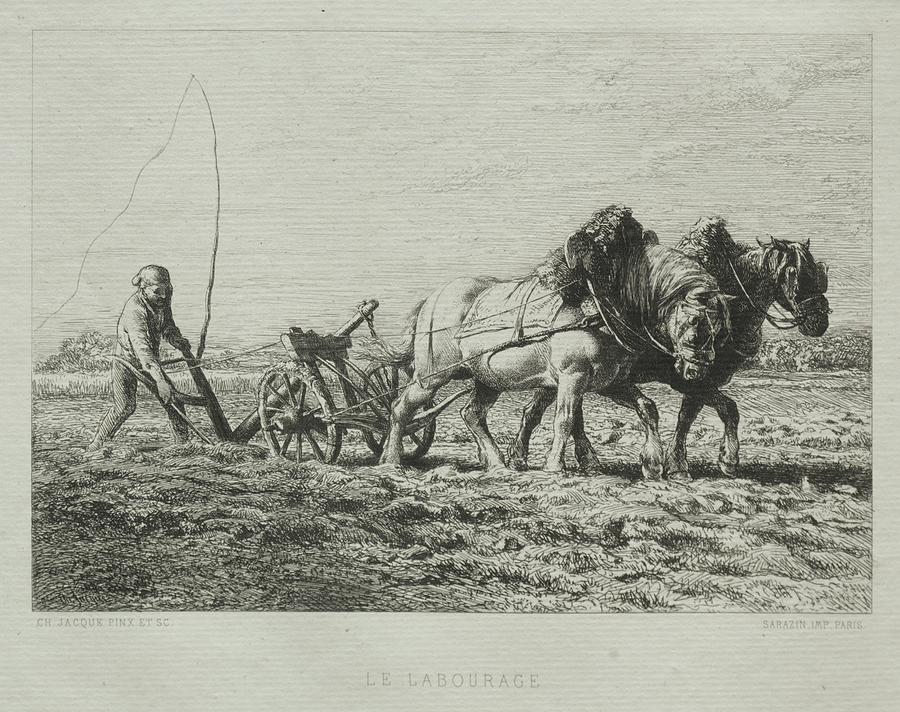 Ploughing 1864 Charles Emile Jacque Painting by MotionAge Designs