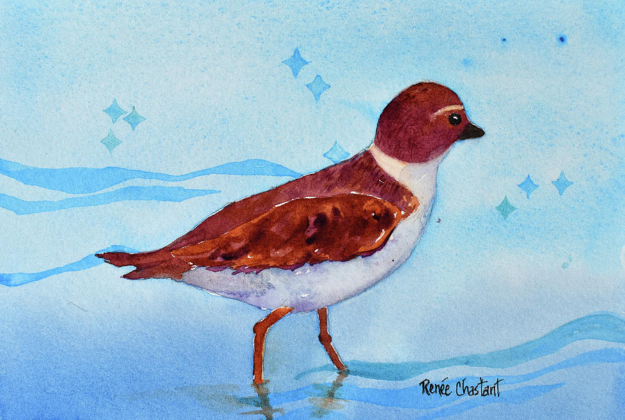 Bird Painting - Plover Points by Renee Chastant