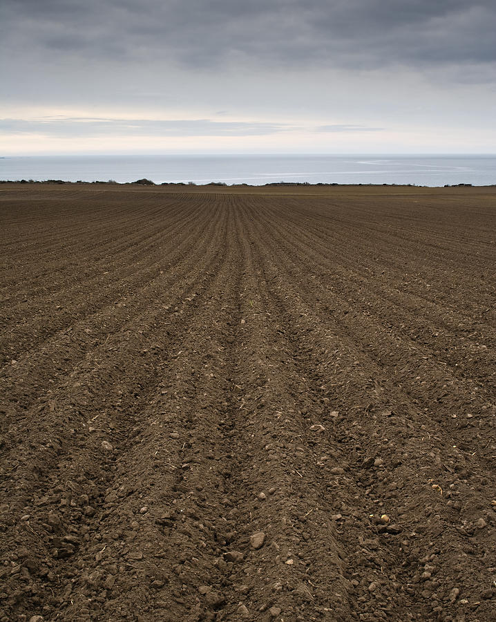 Plow field Photograph by Johner Images