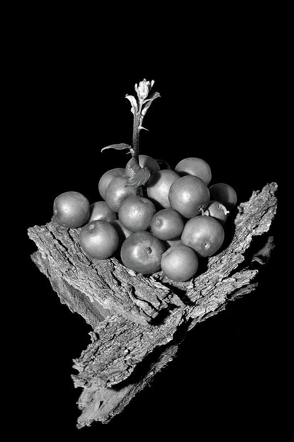 Plum Black And White Photograph