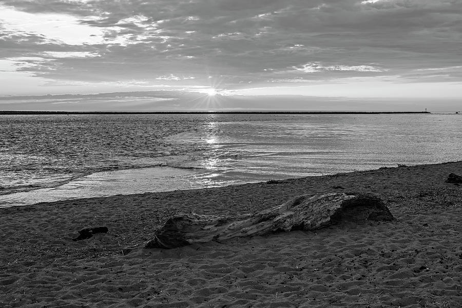 Plum Island Beach Driftwood Newburyport Massachusetts Sunrise Black and White Photograph by Toby McGuire