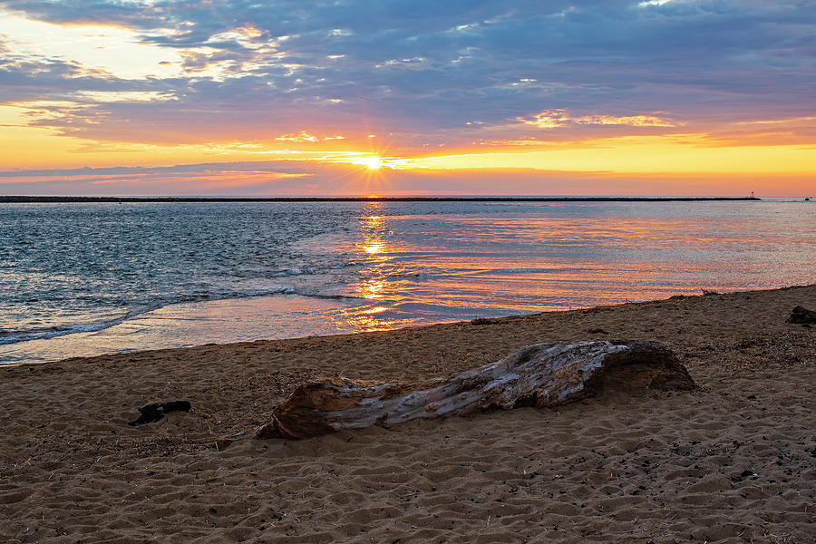 Plum Island Beach Driftwood Newburyport Massachusetts Sunrise Photograph by Toby McGuire