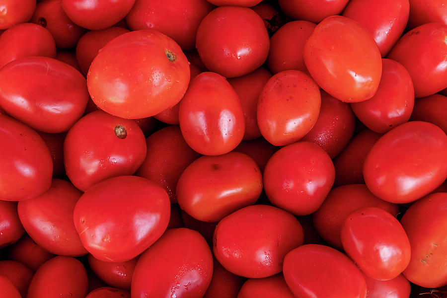 Plum Tomatoes Photograph by Bradford Martin