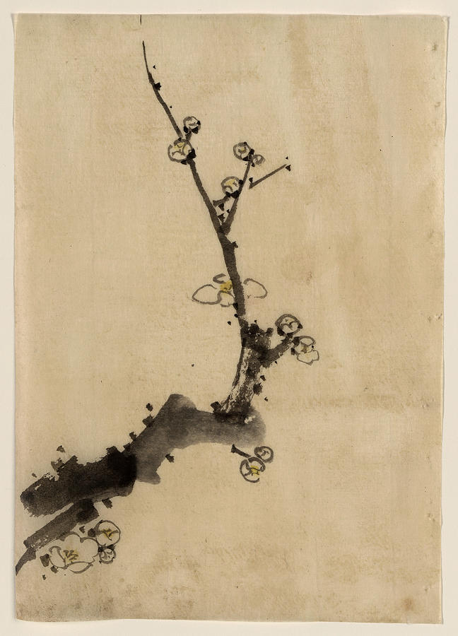 Plum Tree branch with Blossoms by Hokusai Painting by Art Anthology-Japanese  | Fine Art America