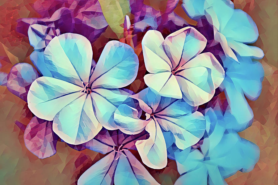 Plumbago Flowers Artsy And Abstract Digital Art