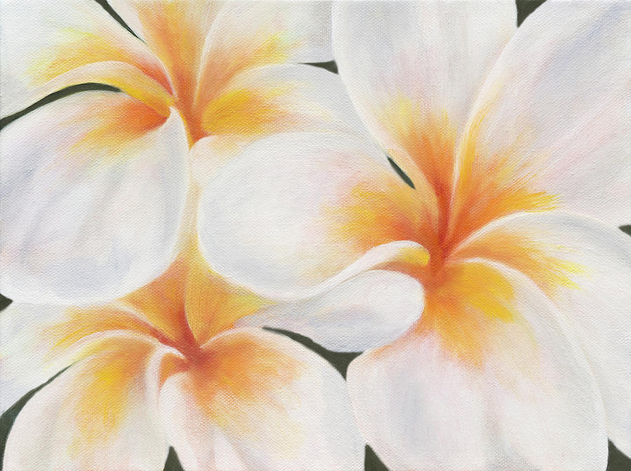 Plumeria Painting by Tammy Pool