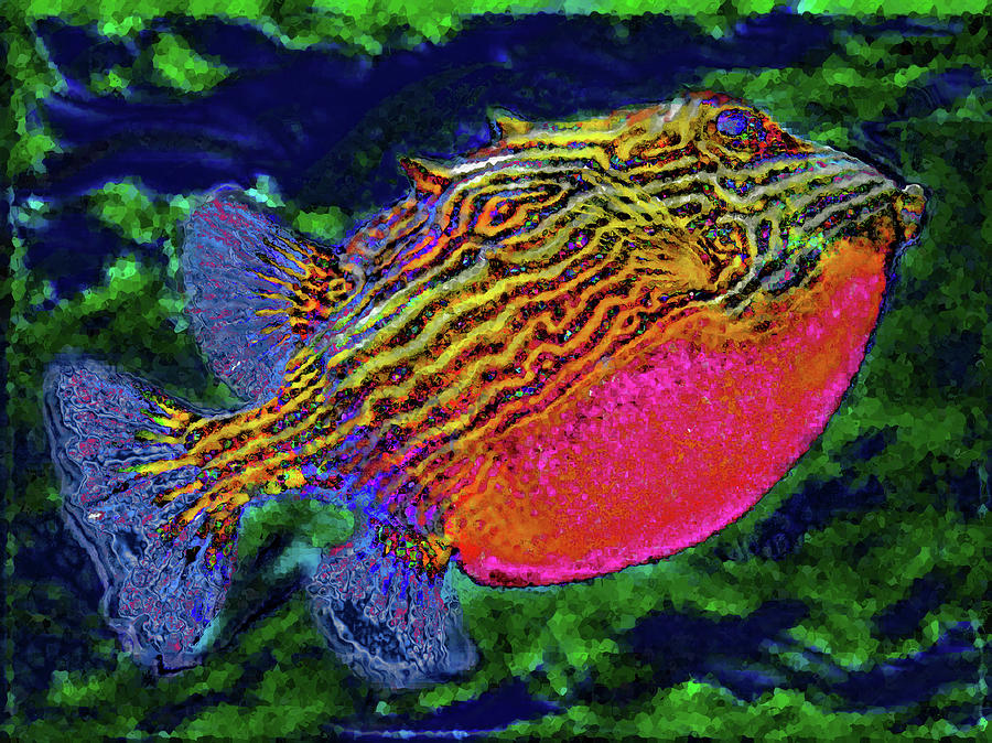 Plump Fish. Digital Art