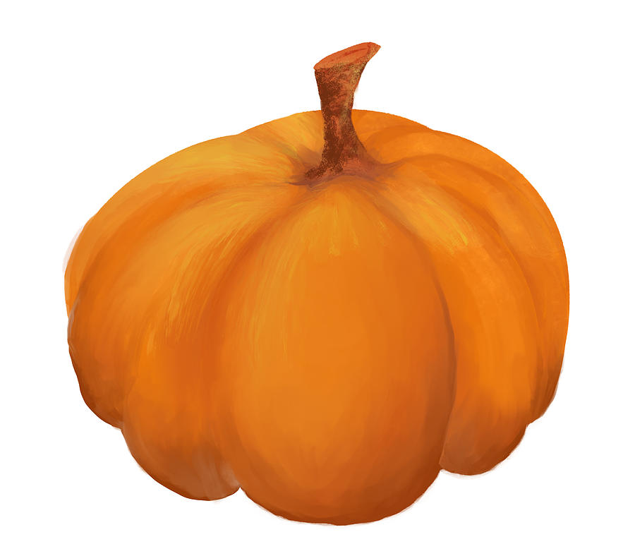 Plump Pumpkin Digital Art