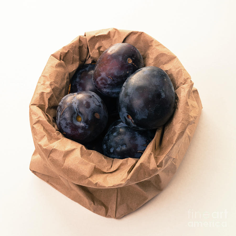 Plums in a Paper Bag Still Life Photograph by Edward Fielding