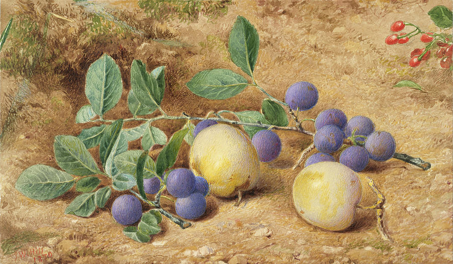 Plums John William Hill Painting