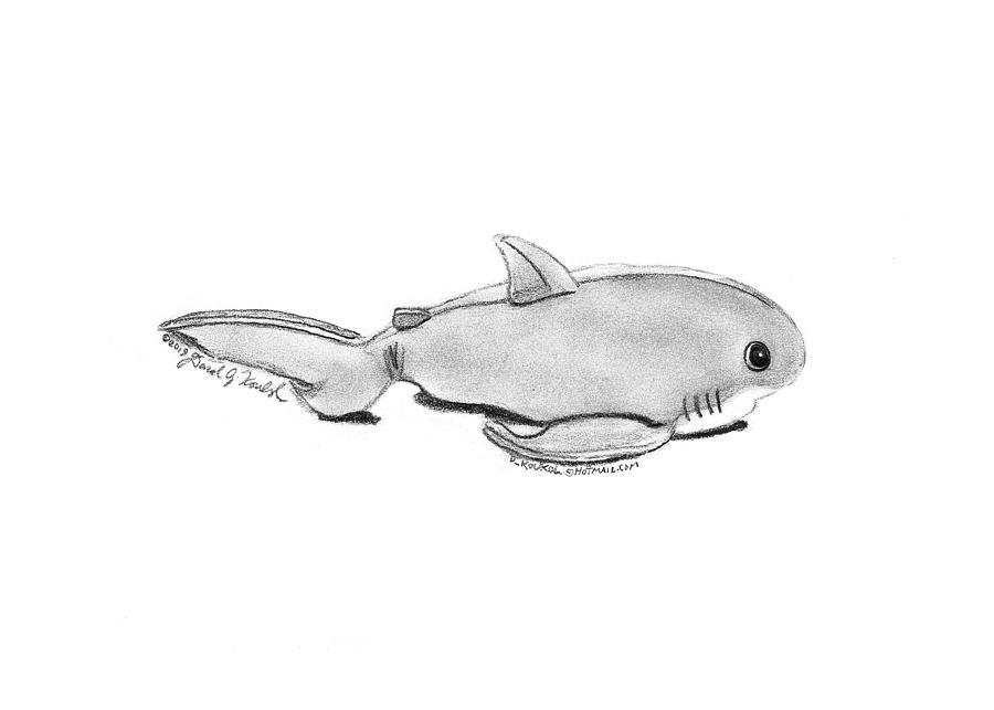 Plush Shark Toy Drawing by David Koukol