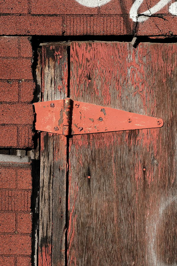 ply and false brick I Photograph by Kreddible Trout
