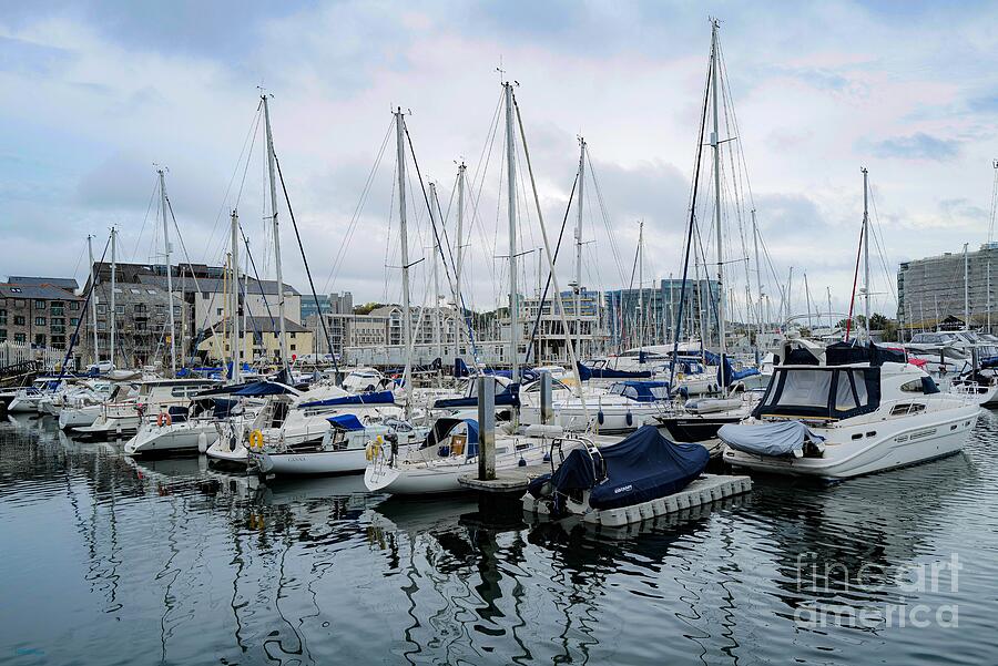 Plymouth England Photograph by Veronica Batterson Plymouth England Photograph by Veronica Batterson