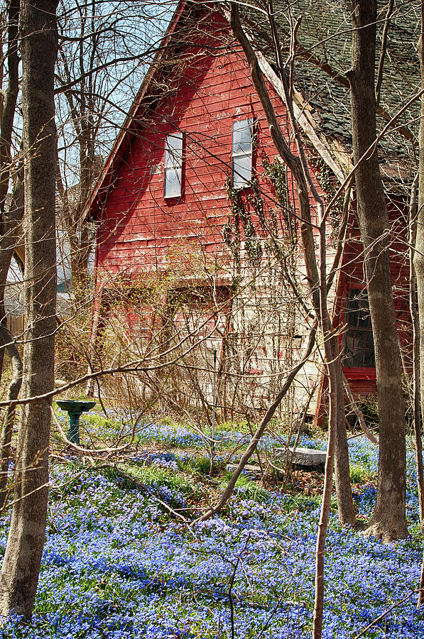 Plymouth Red Barn In Spring Photograph
