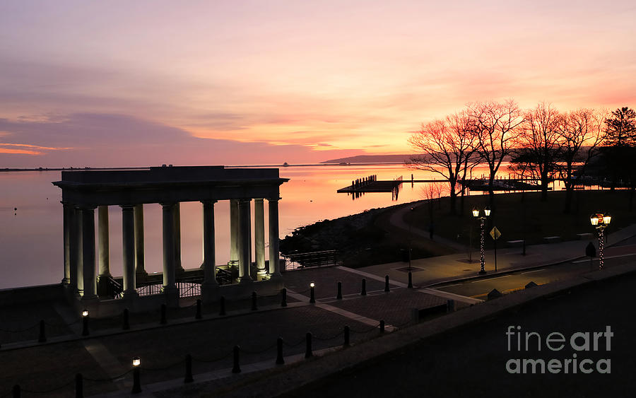 Plymouth Rock canopy at twilight Photograph by Janice Drew