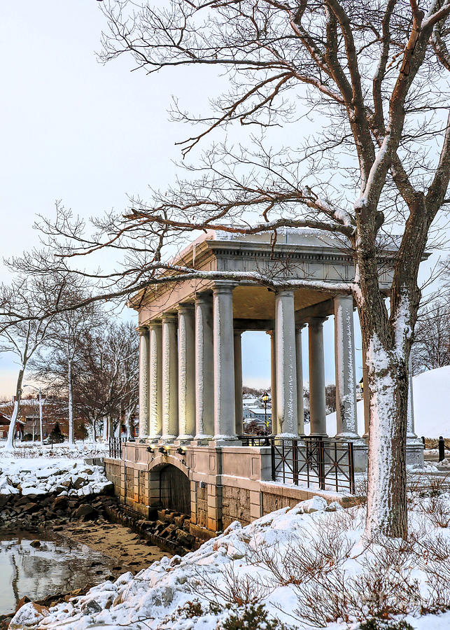 Plymouth Rock canopy February snow Photograph by Janice Drew