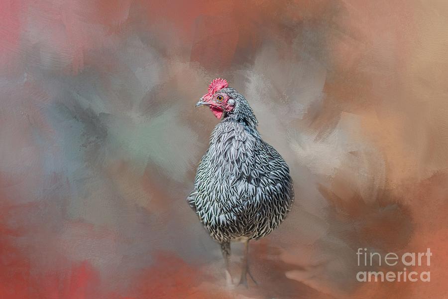 Plymouth Rock Chicken Mixed Media by Eva Lechner